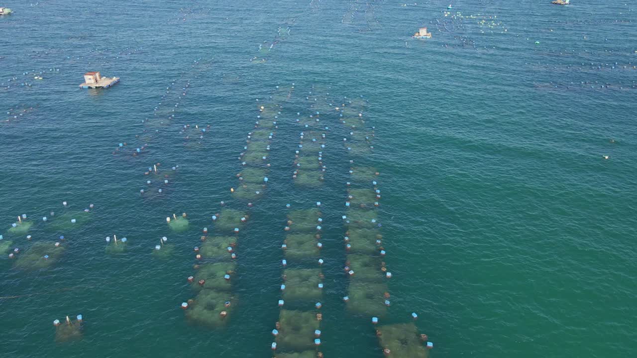 fotografía aérea de grandes granjas marinas en el mar abierto en los trópicos. concepto de cultivo marino