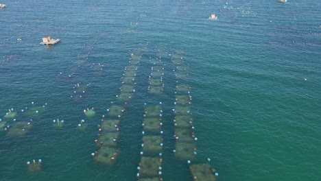 aerial shot of big sea farms in the open sea in tropics. marine farming concept