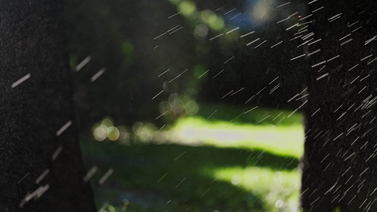 A garden sprinkler sprays water into the air, with sunlight reflecting off the droplets in a green park