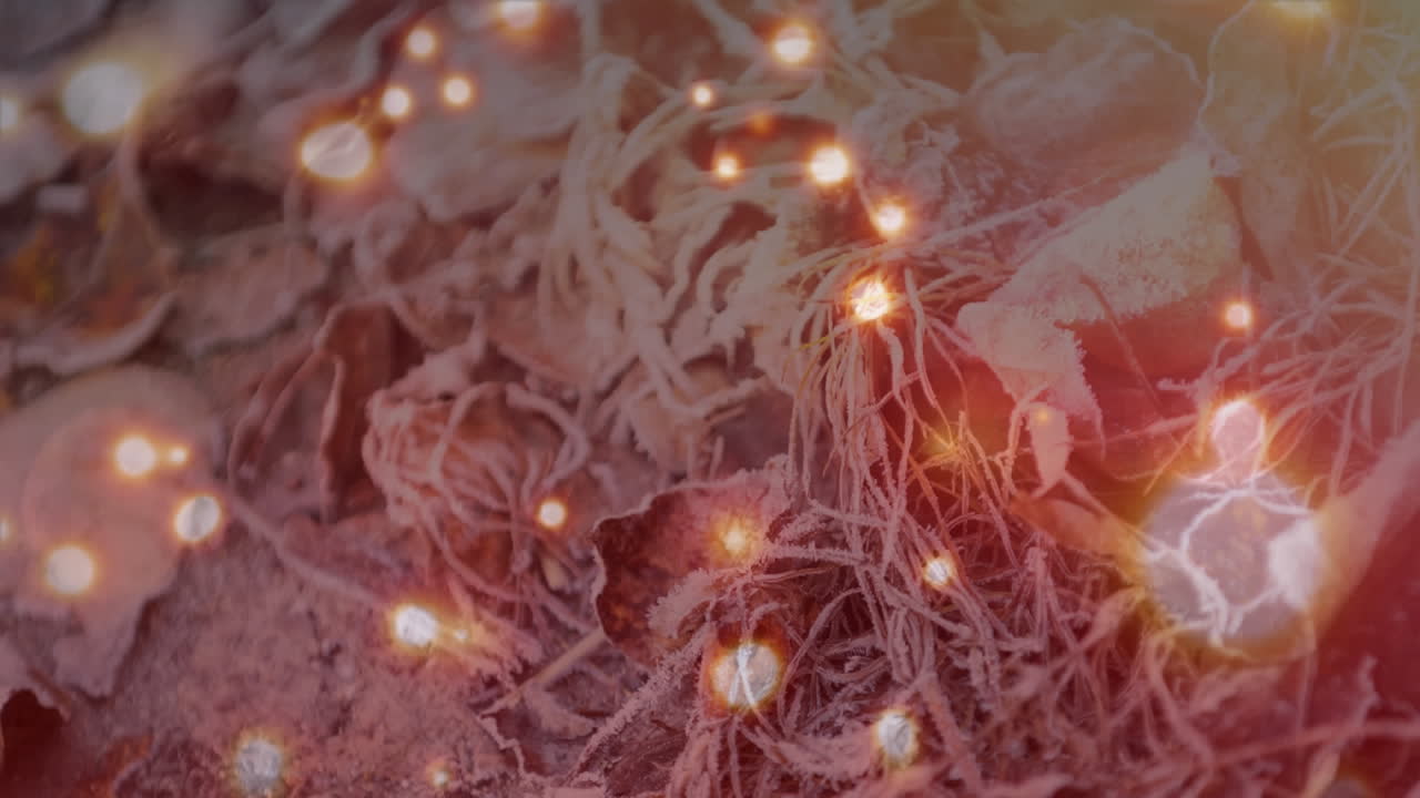 animación de luces de hadas brillantes sobre hojas congeladas