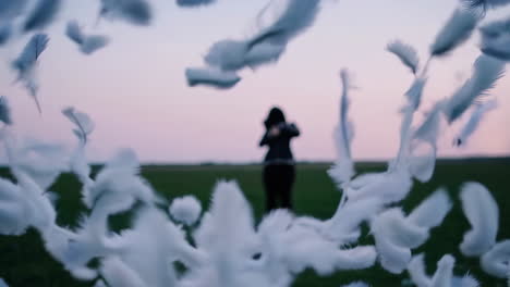 feathers falling around a person in a field at dusk