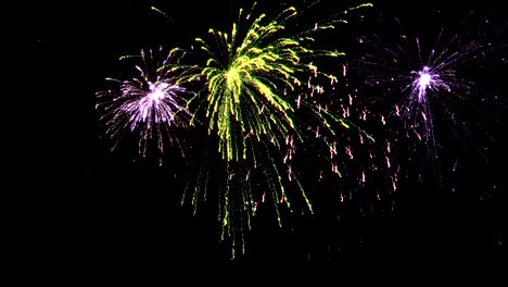 exhibición de fuegos artificiales brillantes multicolores con revelación, bucle y mate