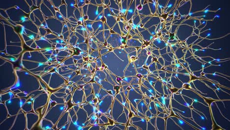Detailed 3D Visualization of Neurons and Neural Network