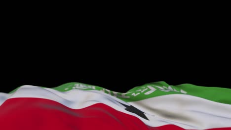 somaliland fabric flag waving on the wind loop. somaliland embroidery stitched cloth banner swaying on the breeze. half-filled white background. place for text. 20 seconds loop.