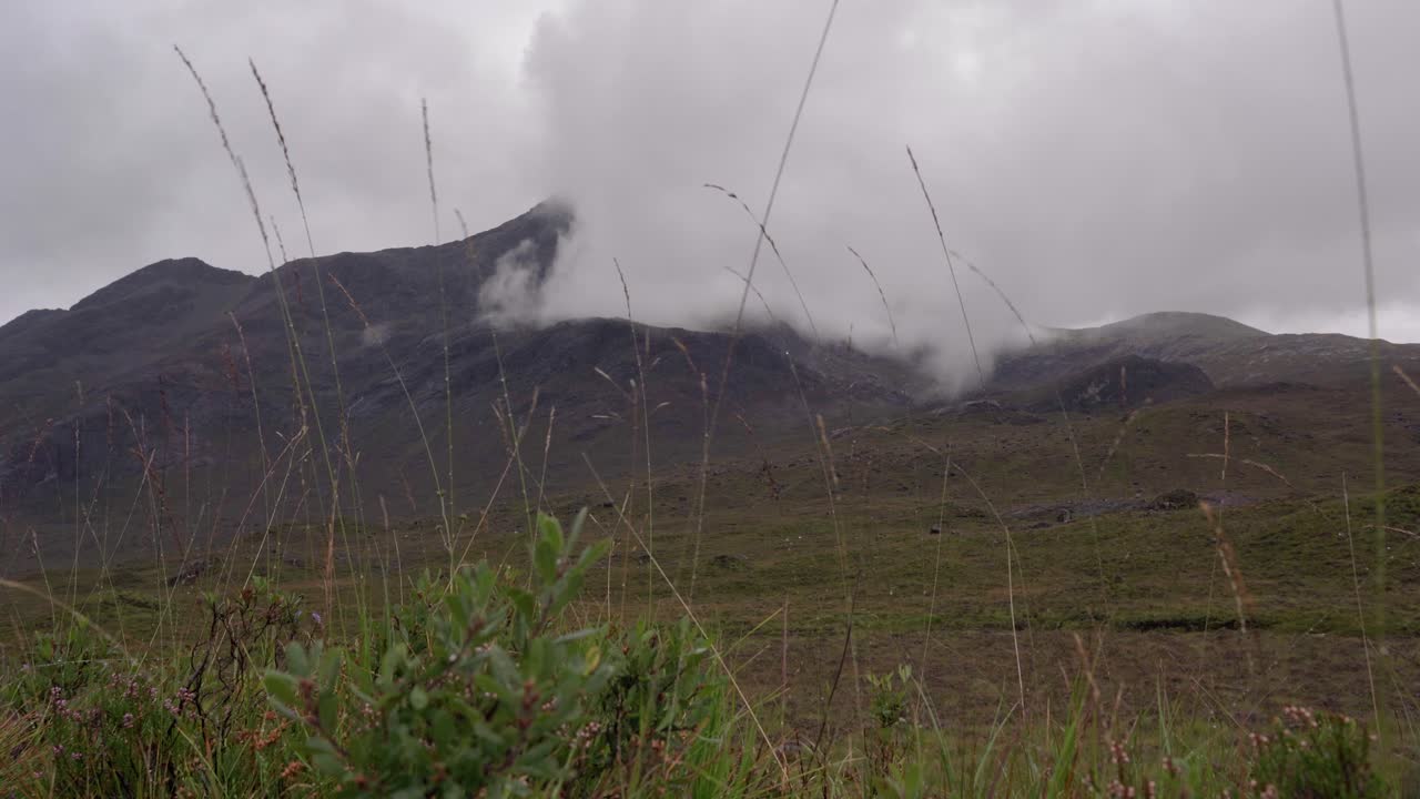 plantas de las tierras altas susurrando en la brisa con montañas cuillin negras en el fondo