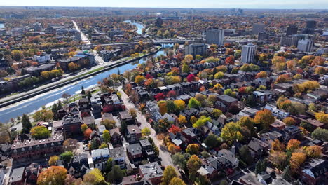 aerial ottawa glebe neighbourhood autumn