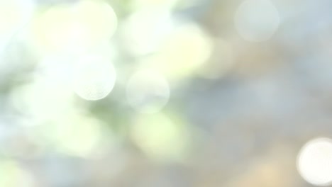 빛 텍스처 배경