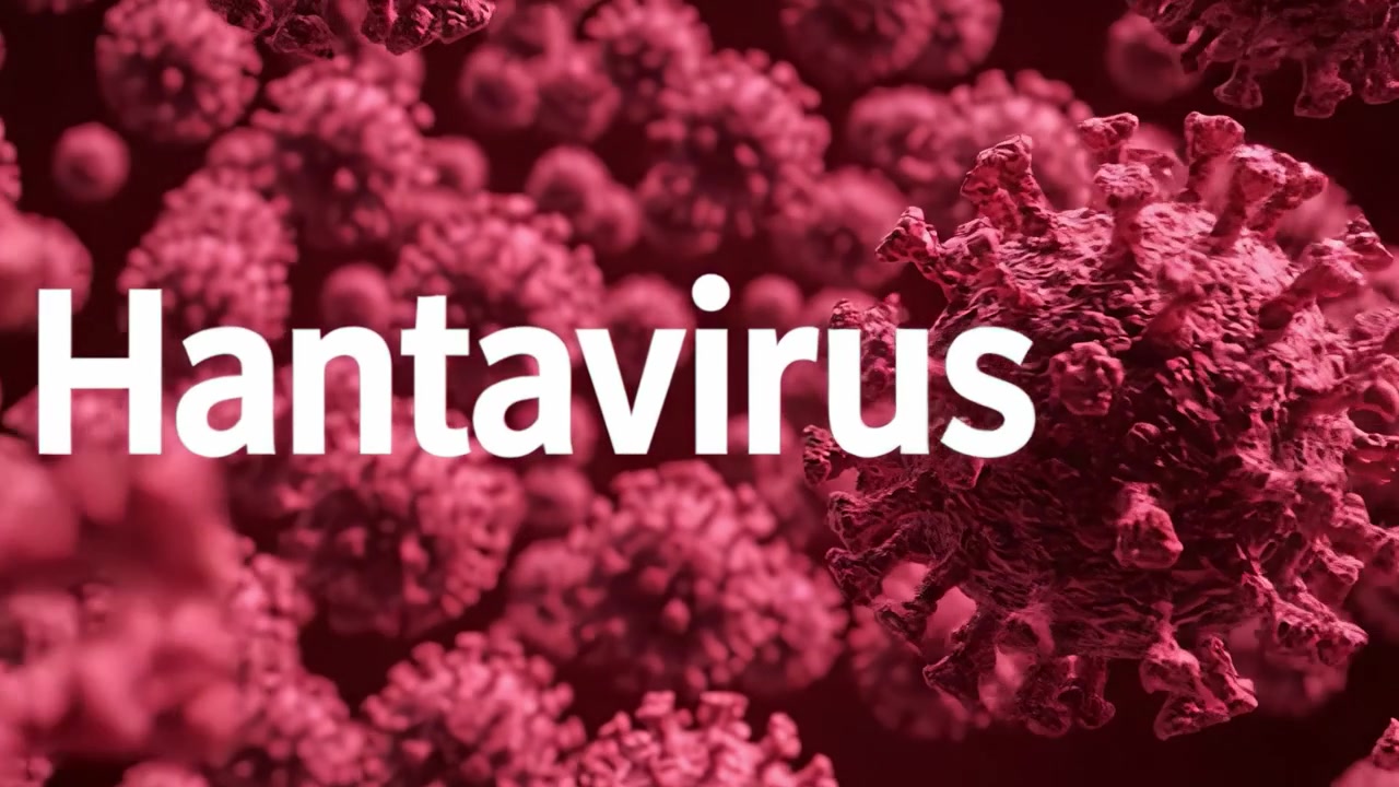 A Close Examination of Hantavirus: Capturing the Intricate Structure and Dynamics of Viral Particles in a Stunning Visualization.