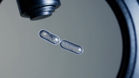 microscopic image of an object under a microscope