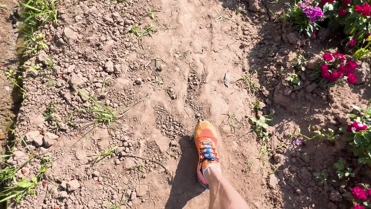 pies caminando a lo largo de un camino de flores coloridas