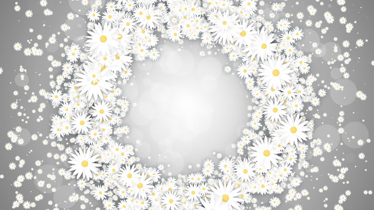 Round wreath of white daisies on gray animated background. Small flying daisies flowers with abstract particles. Looped holiday animation.