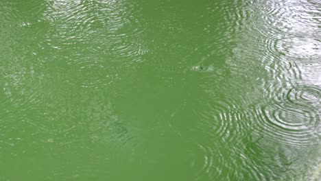 Gotas-De-Lluvia-Medianas-Que-Caen-Sobre-La-Superficie-De-Una-Piscina