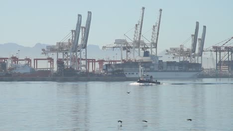 cape town harbour in south africa