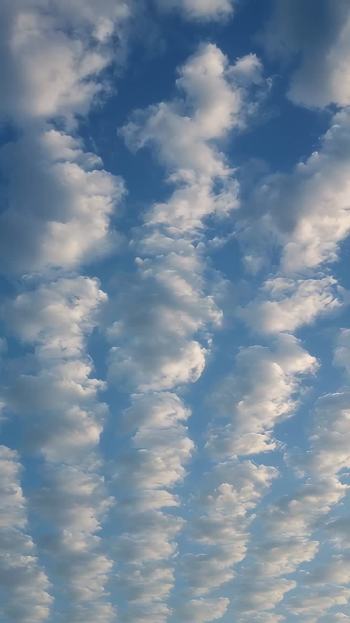 Video verticale: la camera rimane fissa, riprendendo le nuvole cumulus che si spostano nel cielo blu