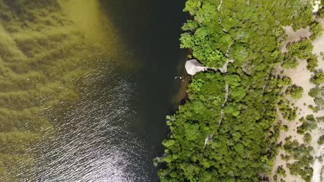 Gazi-Mangrove-Boardwalk,-popular-tourist-attraction-in-Kenya