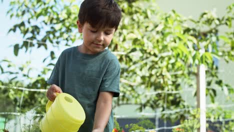 video of boy watering vegetables from a yellow watering can