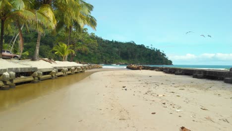 maracas playa rio en trinidad