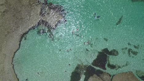 Slow-Drone-Shot-Rottnest-Island-Tilt-Up