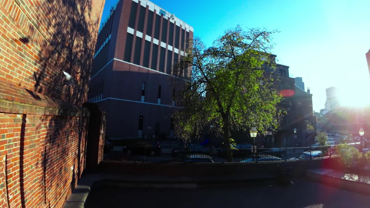 Duer flyver fra en murstensafsats ind i solnedgangen, filmisk slowmotion i Boston.