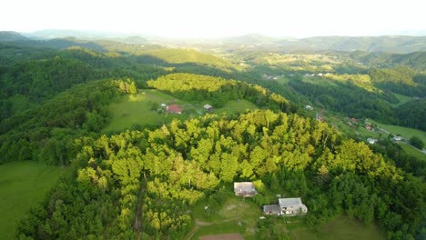 countryside village with houses and lush tree foliage at spring in slovenia