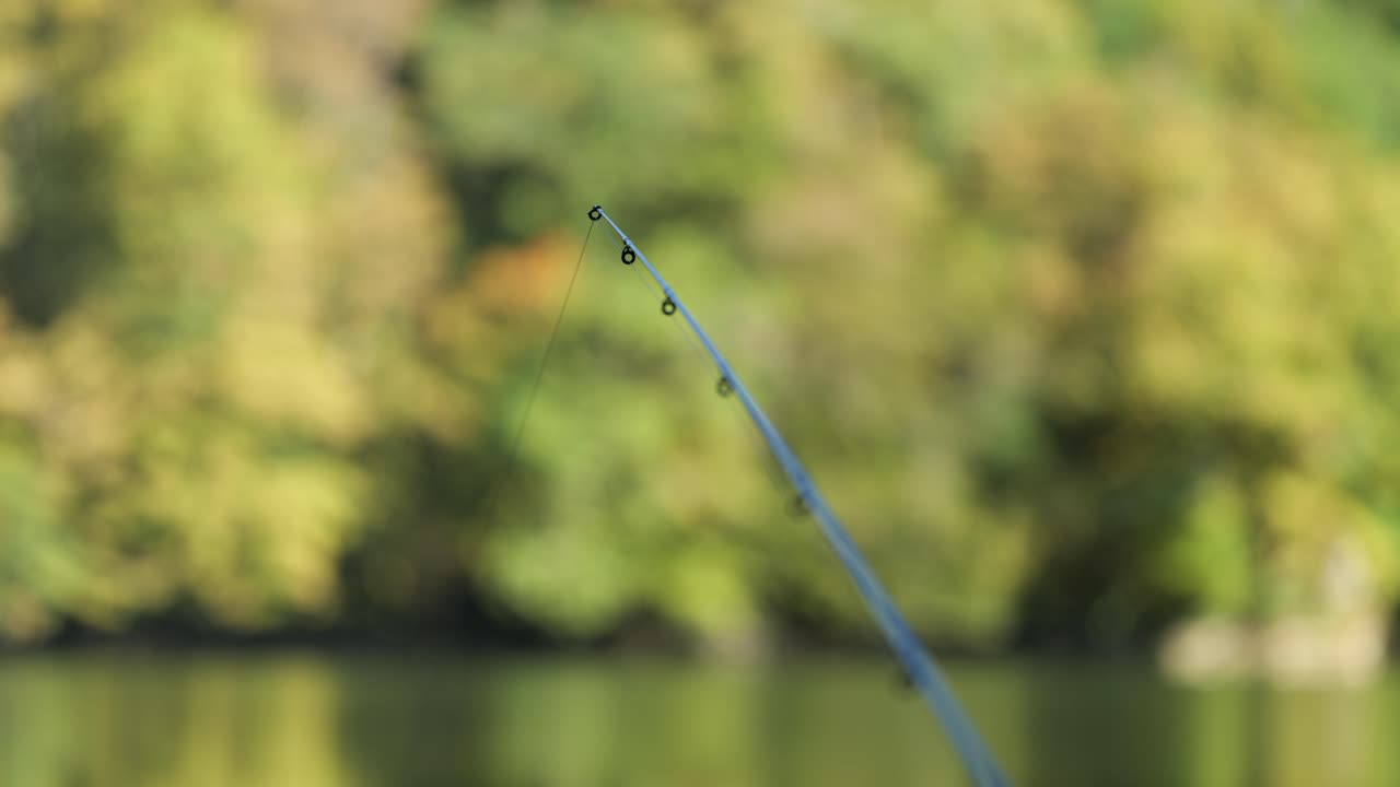 Fishing rod with fishing line in focus in front of green trees in forest