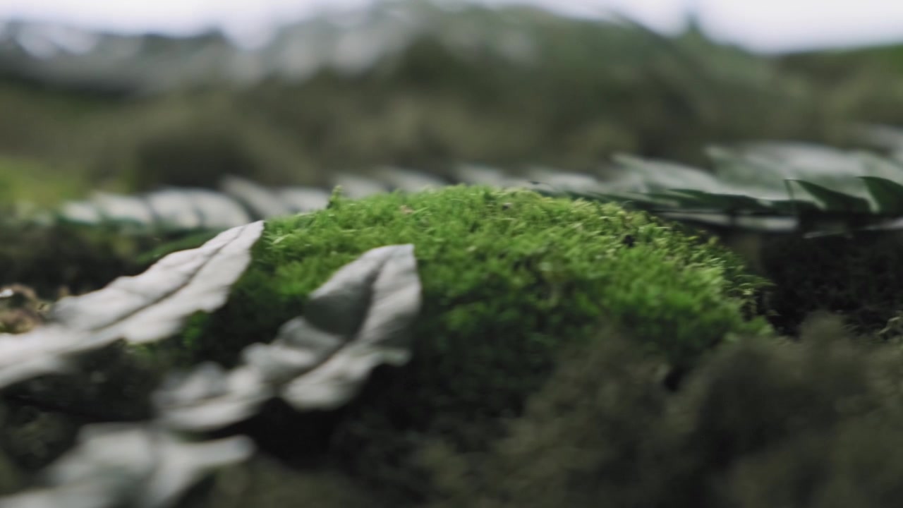 Inquadratura di una parete di muschio artigianale in un moderno luogo di lavoro ecologico