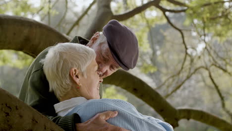 Romantisches-Seniorenpaar-Küsst-Sich,-Während-Es-Sich-An-Einem-Sonnigen-Herbsttag-Auf-Einem-Ast-Im-Park-Lehnt