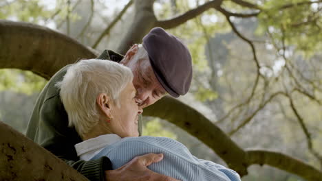 romantic senior couple kissing while leaning on tree branch at park on sunny autumn day