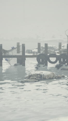 frozen dock at a remote location during winter in a misty atmosphere
