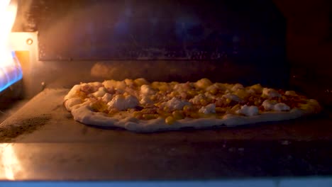 tasty pizza with yellow tomatos baking in gas oven