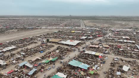 rising aerial drone footage of bustling market in karachi, pakistan