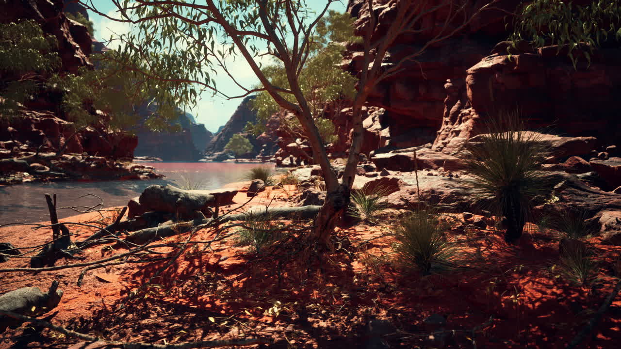 árboles cerca del río colorado en el gran cañón