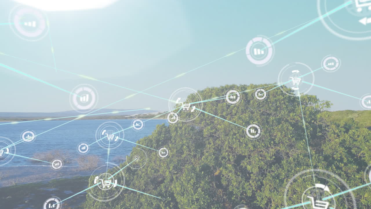 Network of connections and data processing animation over coastal landscape