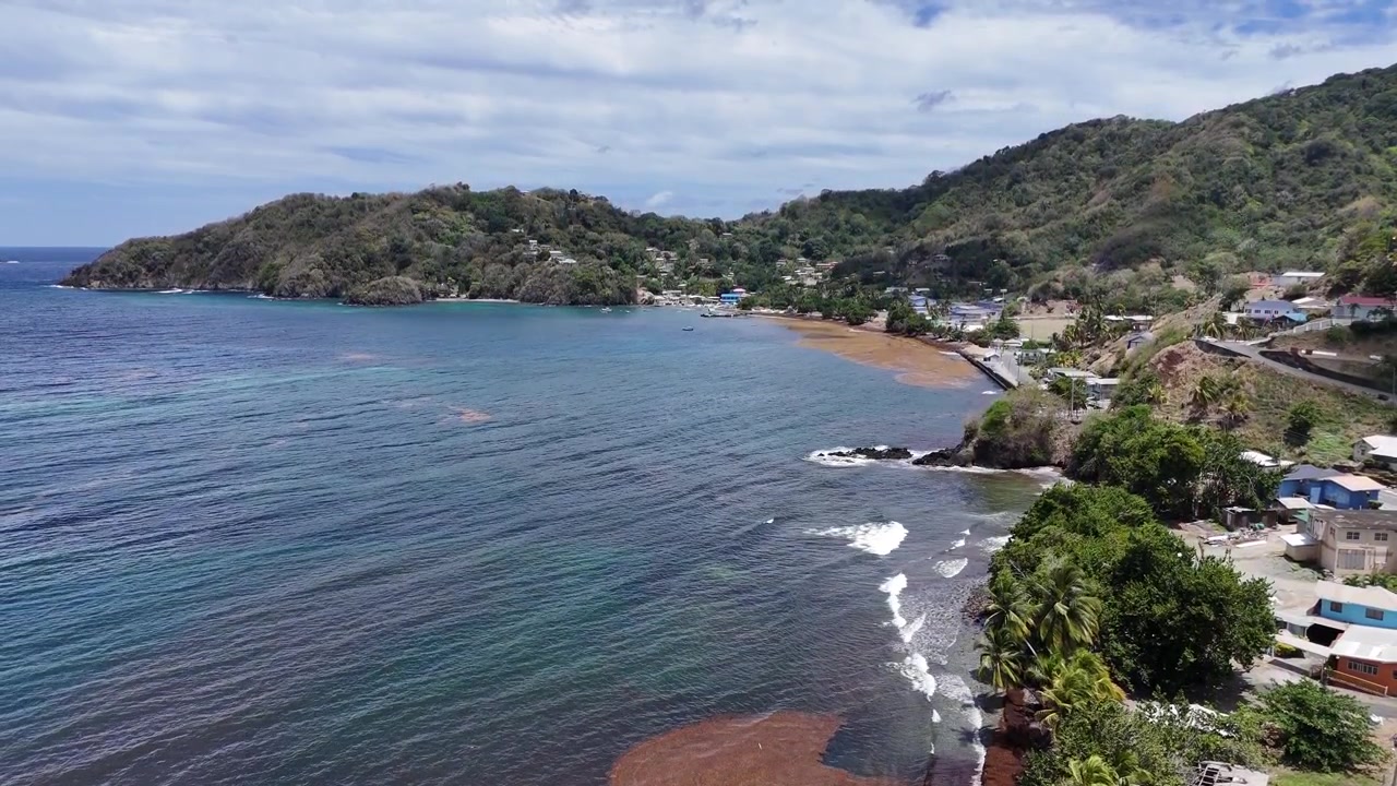 Ascenso de dron aéreo de la costa tropical en Speyside. Palmeras y olas caribeñas encontrándose con la costa volcánica de la Isla de Tobago, Trinidad y Tobago, Indias Occidentales