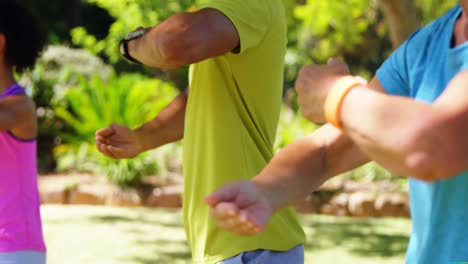 Group-of-people-exercising-in-the-park-4k