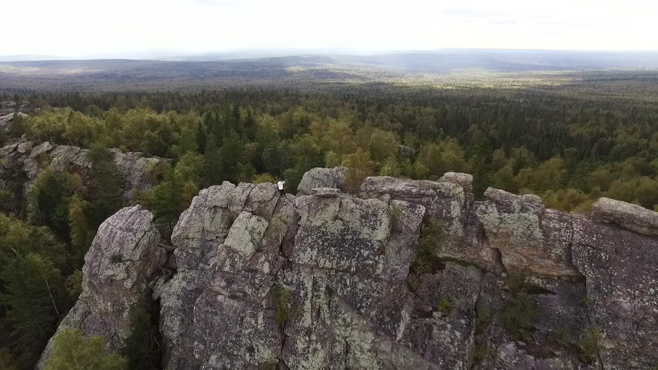 vista aérea del pico de la montaña rocosa con el bosque
