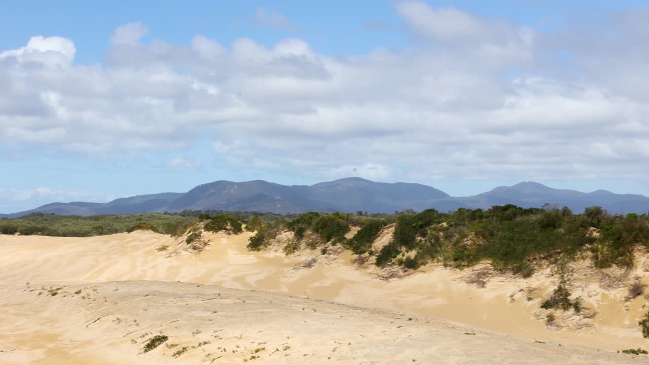 남부 빅토리아의 배경에 큰 산이 있는 해안 모래 언덕