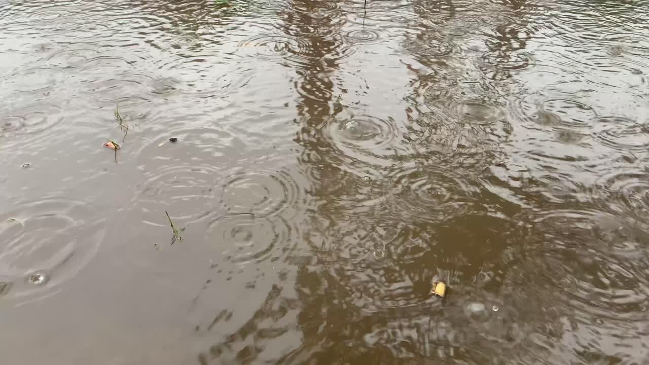 Close-up footage of raindrops falling into a puddle, creating ripples on the water surface during a rainy day