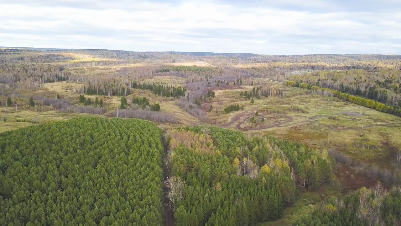 осенний пейзаж с воздуха