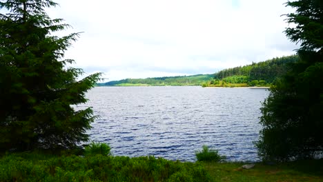 Alwen-Stausee-Aussichtspunkt-Zwischen-Alpinen-Hohen-Bäumen,-Die-Die-Malerische-Landschaft-Beruhigen