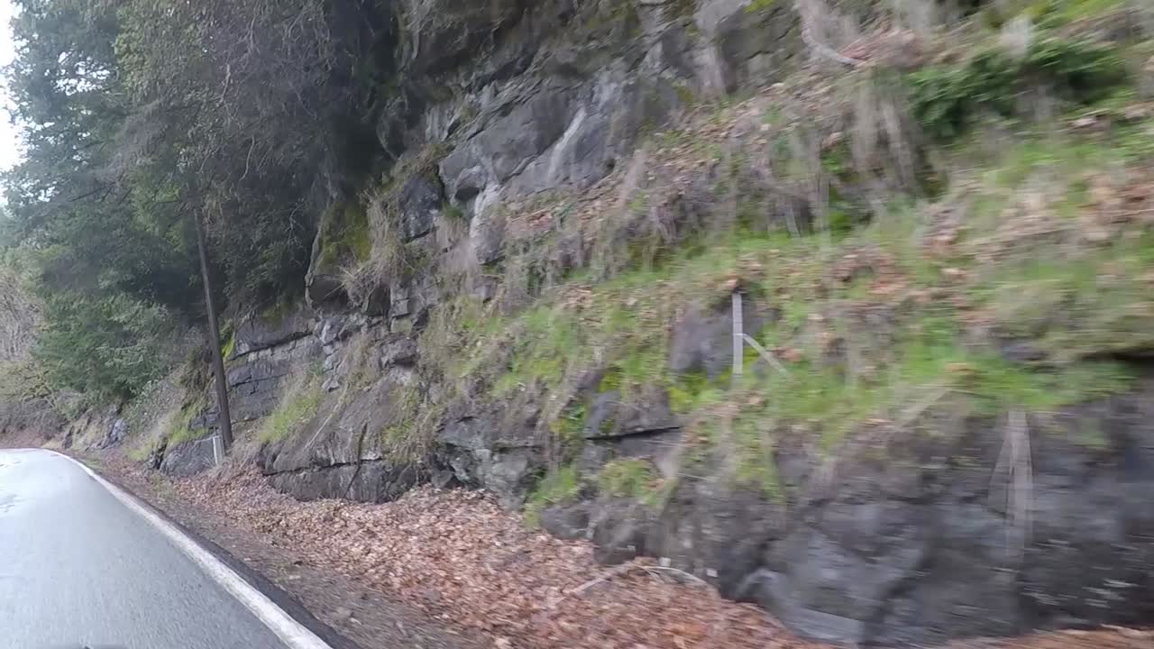 이끼로 덮인 나무와 흥미로운 바위와 양치류가 길을 따라 운전