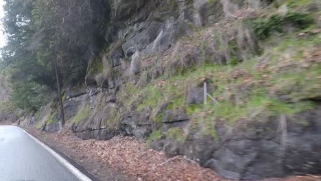 conducir con árboles cubiertos de musgo e interesantes rocas y helechos bordean la carretera