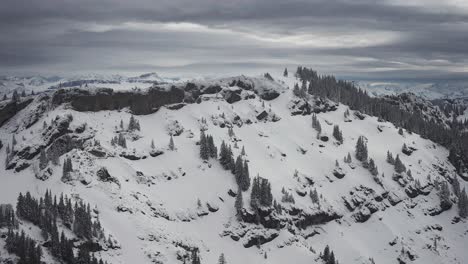 invierno en las austriacas