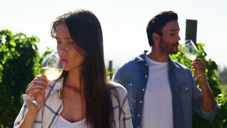 Couple-having-wine-in-vineyard