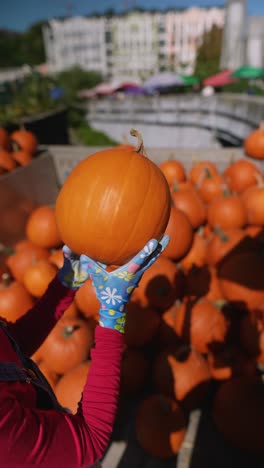mujer sosteniendo una gran calabaza en un parche de calabaza