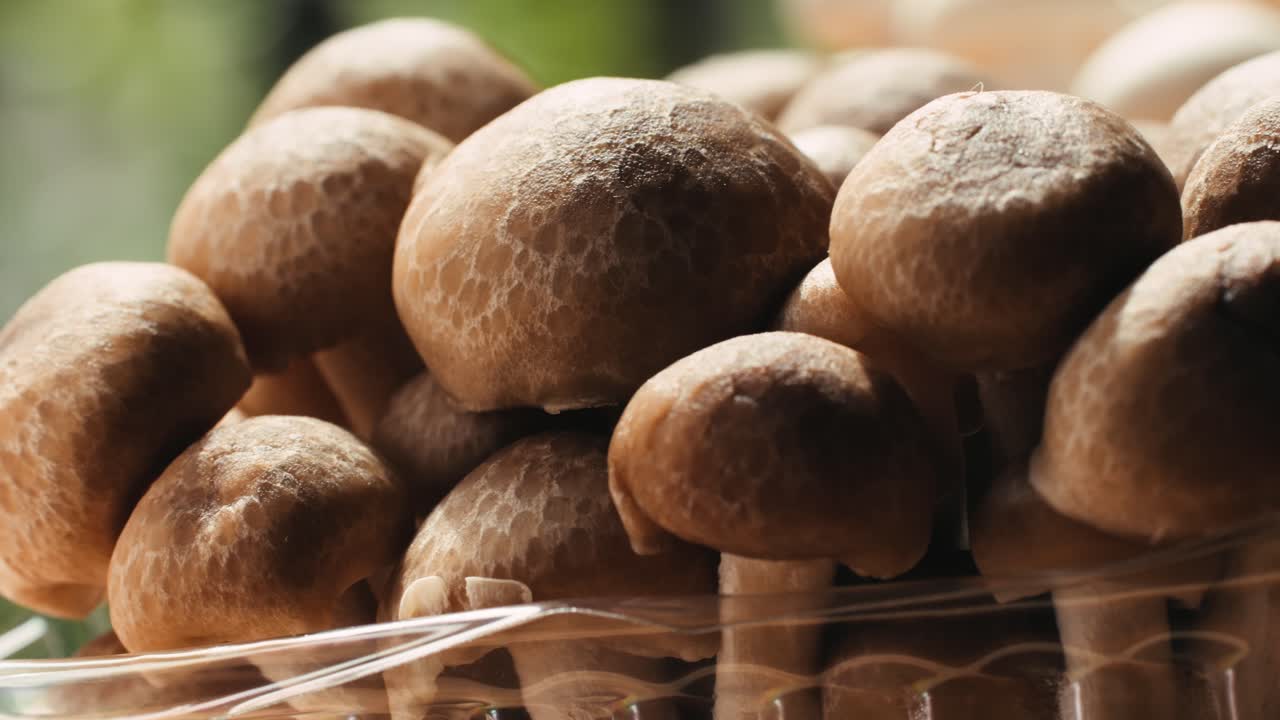 Brown Mushrooms in a Plastic Container