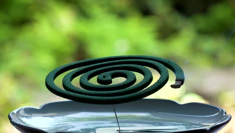 burning green mosquito coil in japanese house. summer season concept video.