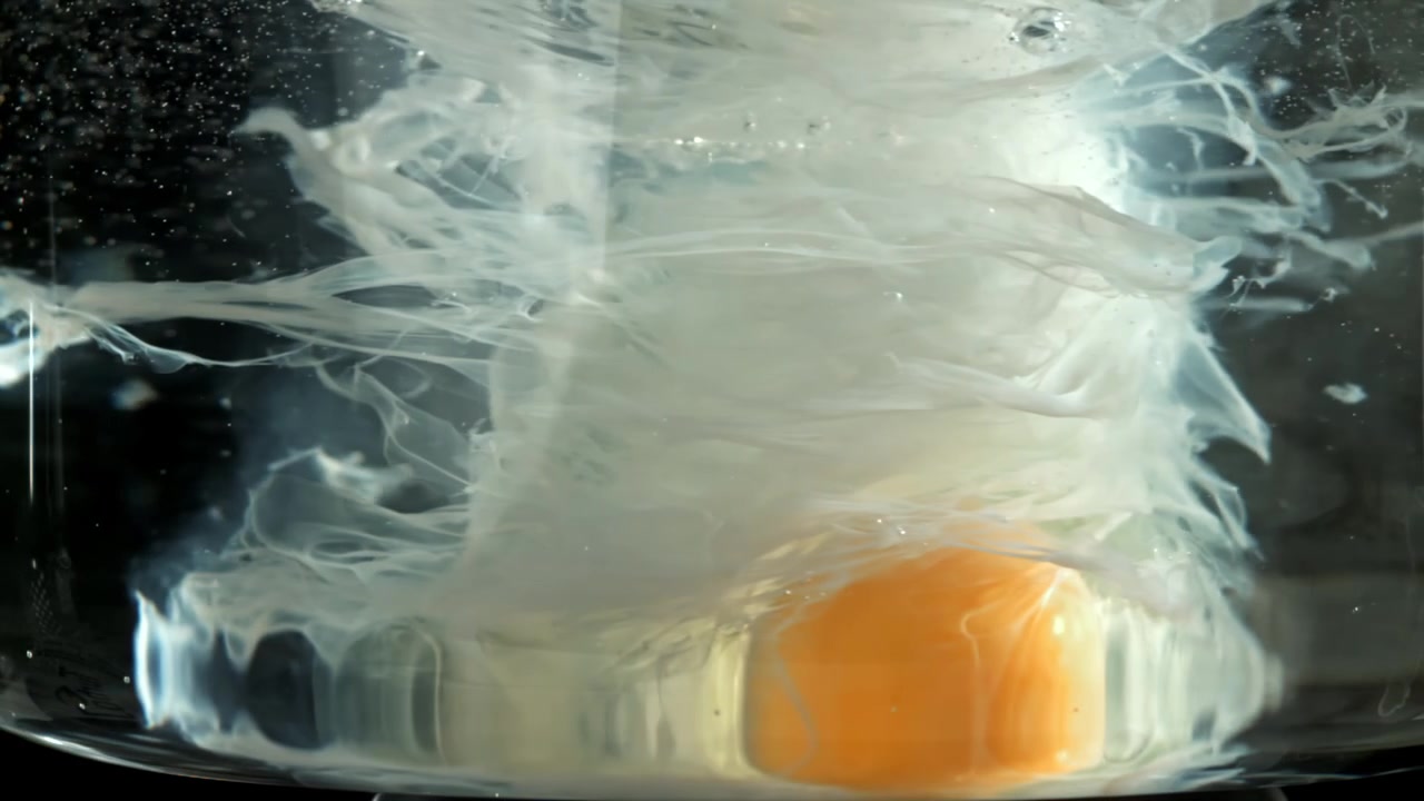 Slow Motion Close-up of an Egg Poaching in Water