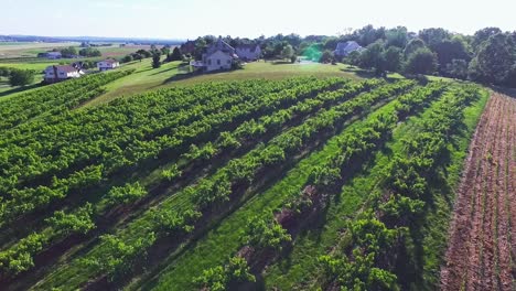 family house on top of hill in rural pennsylvania, aerial dolly shot revealing an orchard behind the house, suburban lifestyle, architecture and real estate concept