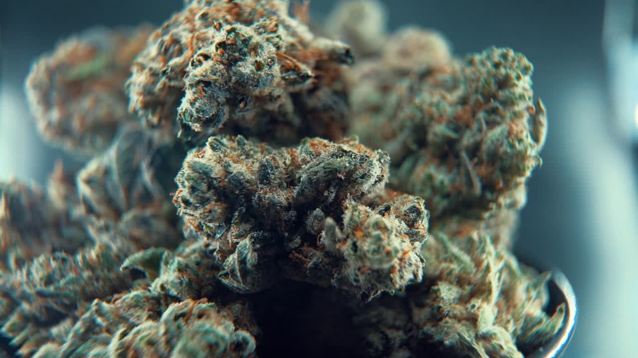 A close up macro cinematic detailed shot of a cannabis plant, hybrid orange strains, Indica ,marijuana flower, on a rotating stand, Full HD, super slow motion, 120 fps, studio lighting